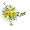 Daffodil: Roni