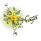Daffodil: Naga