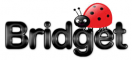 bridget ladybug