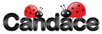 Candace ladybug