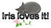 iris loves it kitty flower