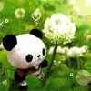Panda flower