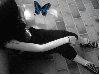 Emo Butterfly