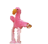 flamingo dance