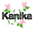 kanika pink flower mrsclean987