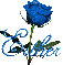 blue rose esther