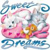 Cats sweet dreams