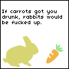 Drunk bunnies D: