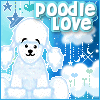 poodle love webkinz
