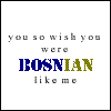 bosnian