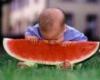 Melon eating babyâ€¦