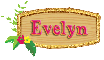 banner evelyn