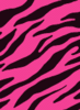 Black and hot pink zebra print