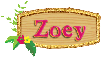 banner zoey