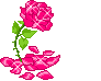 Sparkly rose