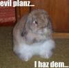 Evil Bunny