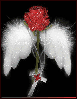 Angel's Rose