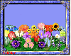 Flowers on frame