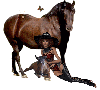 MARE, FOAL AND COWGIRL