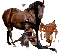 Karen horses and saddle