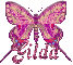 Butterfly,,, gILDA