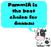 PammiA Campaign Cow