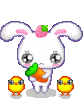Bunny Crying
