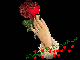 A Rose for My Dearest Friend