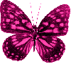 Deeppink Butterfly