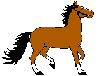 Konie 