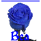 Bea's blue rose