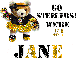 Steelers Cheer Bear...Jane