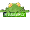 FROG WITH THE NAME KIMBERLY