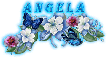 Angela blue flowers