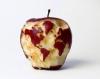 the world apple
