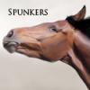Spunkers