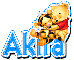 Pooh & Tigger - Akira