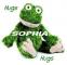 Hugs, Hugs, Green Frog - Sophia