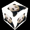 Panda cube