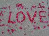 Love written in rose petals