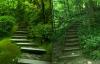 nature steps