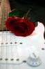 white guitar with rose
