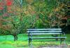 colour bench