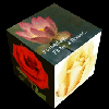 Flower cube