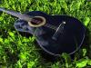 guitar in grass