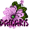 Purple Bugs Flower,Damaris