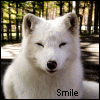 smile =3