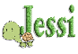 turtle jessi