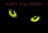 Happy Halloween - Green Cat Eyes