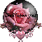 Pink Rose - Cindi Loves You!